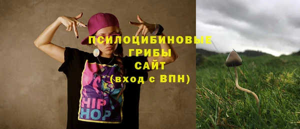 амф Пересвет