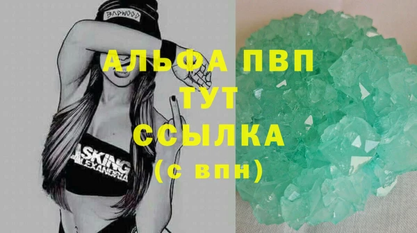 спайс Покачи