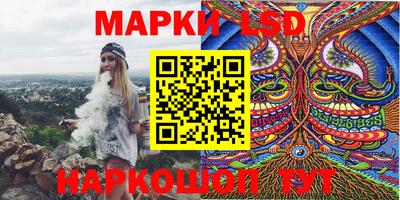 гидропоника Гатчина