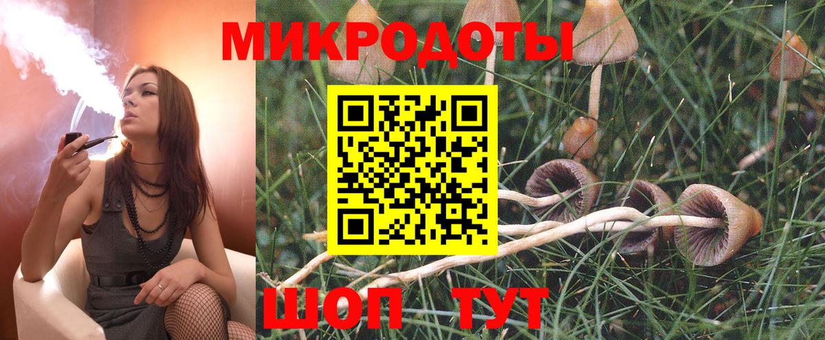 Псилоцибиновые грибы мицелий Качканар