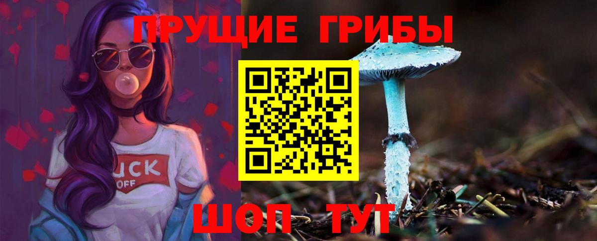 Галлюциногенные грибы Psilocybe  где купить наркотик  Качканар  Вход с VPN 